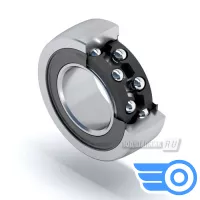 30204